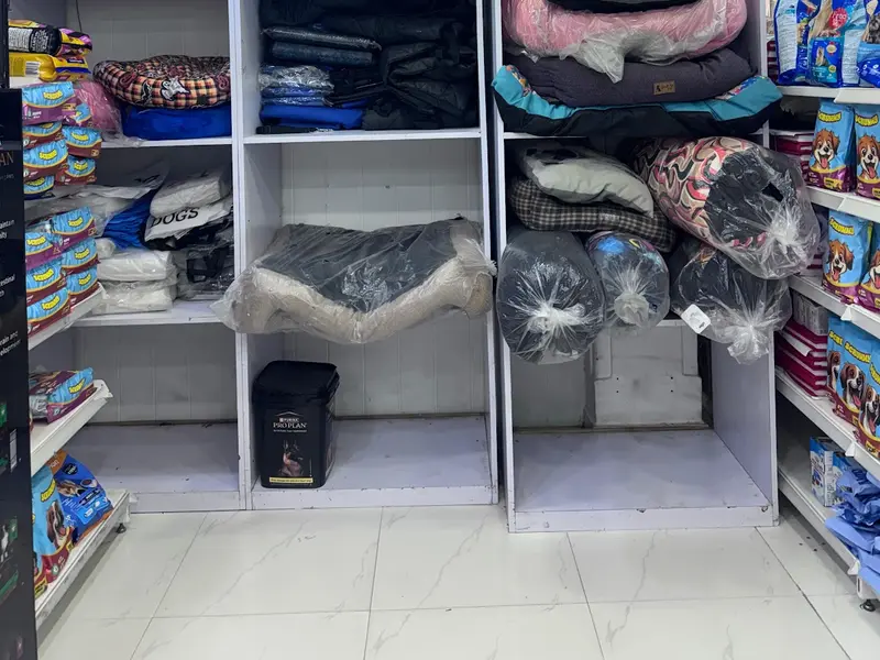 JUSTDOGS | Nehrunagar, Ahmedabad - Pet Store & Spa, photo 4