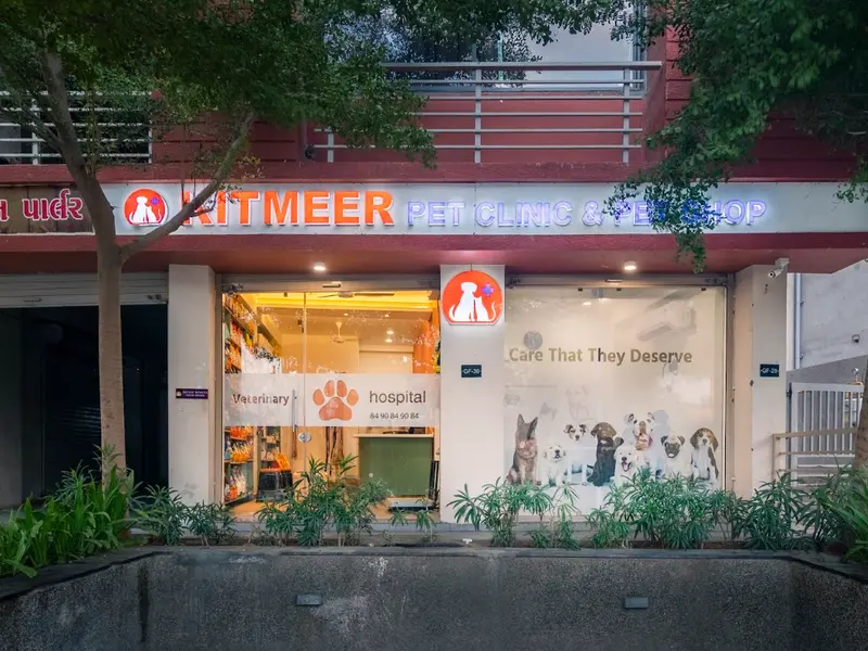 Kitmeer Pet Clinic & Diagnostic Centre-Himmatnagar - Best Pet Clinic | Animal Hospital | Pet Care Center in Himatnagar, photo 2