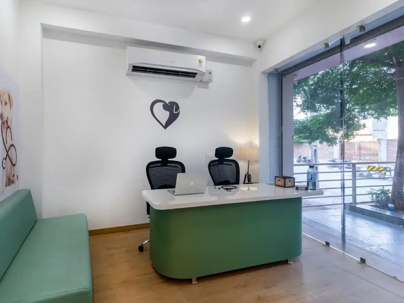 Kitmeer Pet Clinic & Diagnostic Centre-Himmatnagar - Best Pet Clinic | Animal Hospital | Pet Care Center in Himatnagar, photo 3