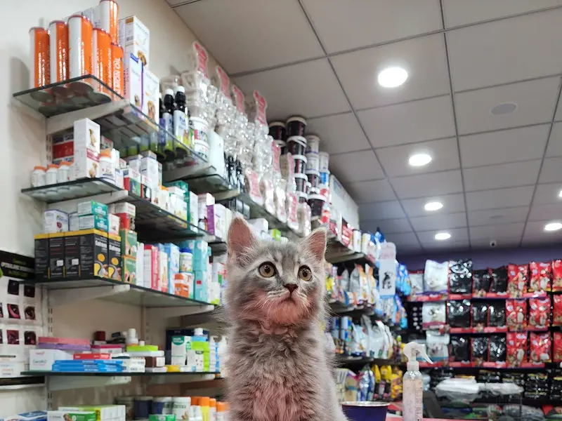 Shree Sai Pets®, photo 3