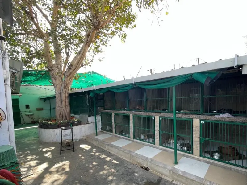 Shree Danev Foundation, photo 2