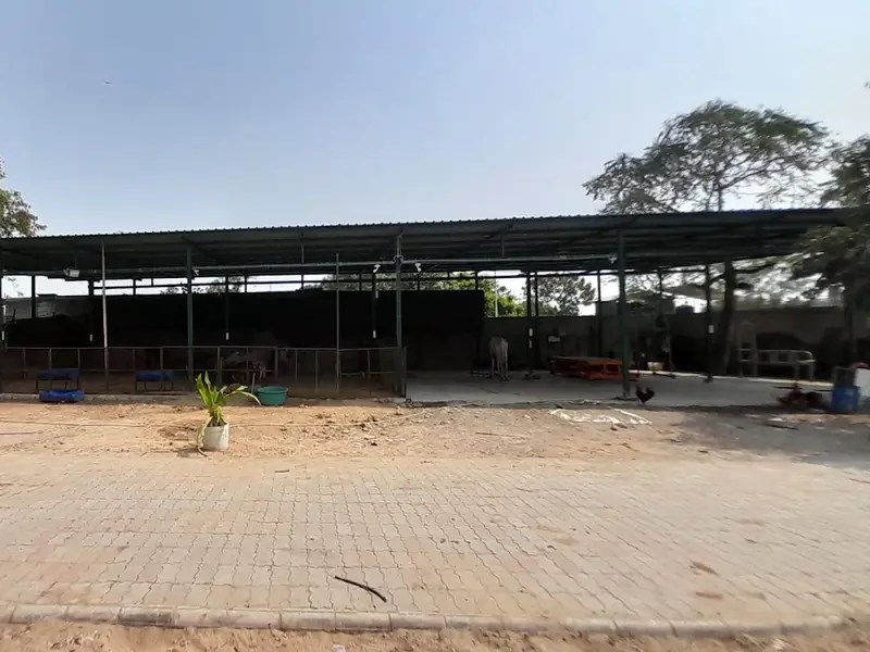 Shree Danev Foundation, photo 5