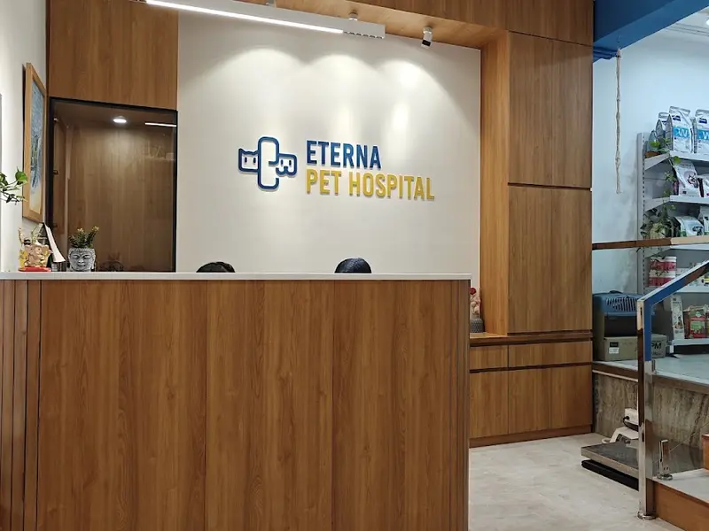 Eterna Pet Hospital, photo 2