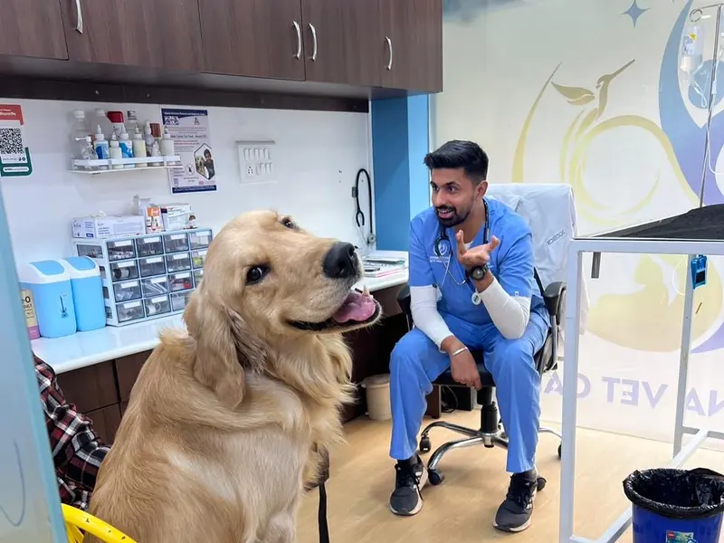 Eterna Pet Hospital, photo 5