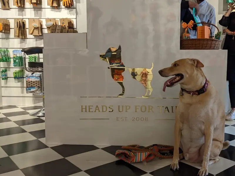 Heads Up For Tails Pet Store & Spa - Rajpath Rangoli Road, Ahmedabad, photo 2