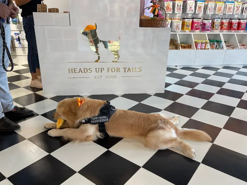 Heads Up For Tails Pet Store & Spa - Rajpath Rangoli Road, Ahmedabad, photo 4