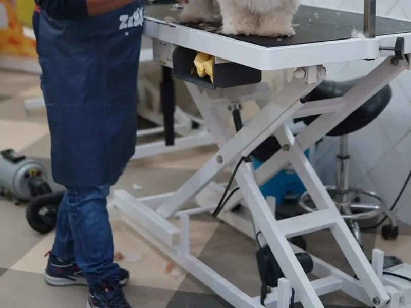Zigly Pet Care - Vet Clinic, Pet Grooming & Pet Products - Shilp Epitome, Ahmedabad, photo 4