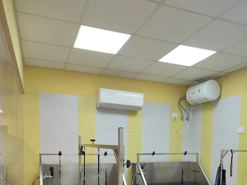 Zigly Pet Care - Vet Clinic, Pet Grooming & Pet Products - Shilp Epitome, Ahmedabad, photo 5