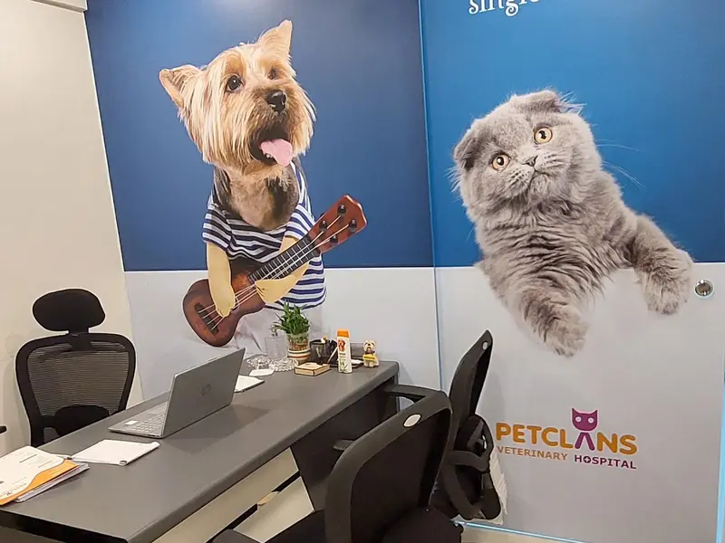 PETCLANS VETERINARY HOSPITAL, photo 3