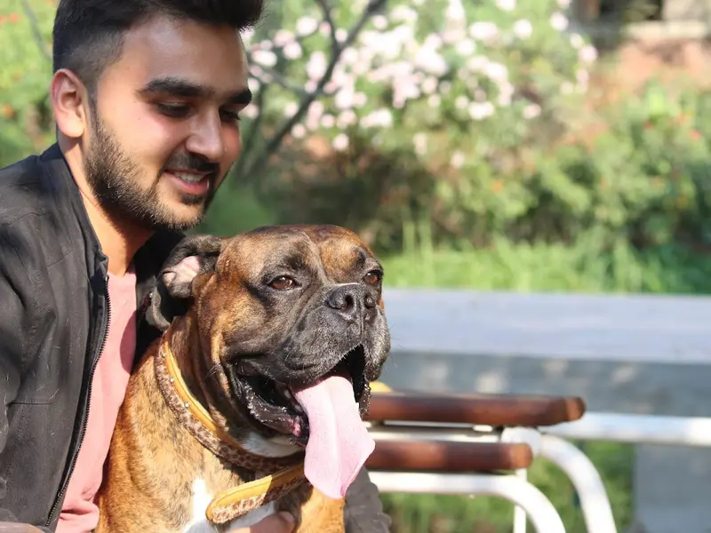 Siddh Trivedi - Certified Dog Trainer & Behaviorist, photo 2