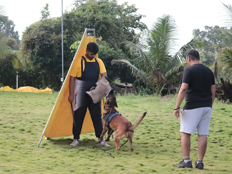 Stavan Mehta: Best Certified Dog Trainer & Behaviorist Expert, photo 3