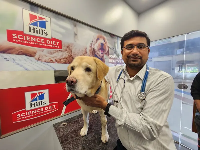 Dr. A.P.'s Pet Clinic & Shop (Chandkheda, Motera, Zundal), photo 2