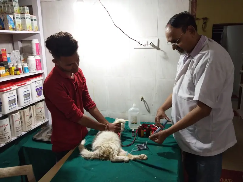 Dr.Gautam's Dog Clinic And Hospital, photo 3