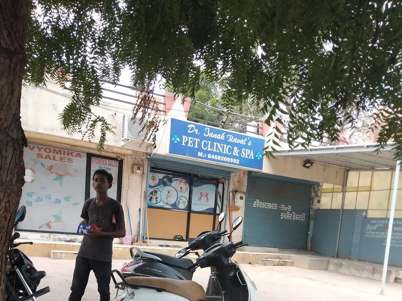 DR.JANAK RAVAL'S PET CLINIC, photo 5