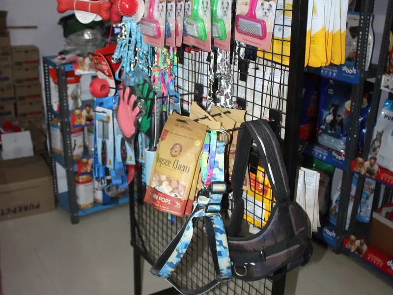 Sonu pet shop - Pet Shop For Dog, Pet Shop For Cat, Pet Shop For Bird, photo 3