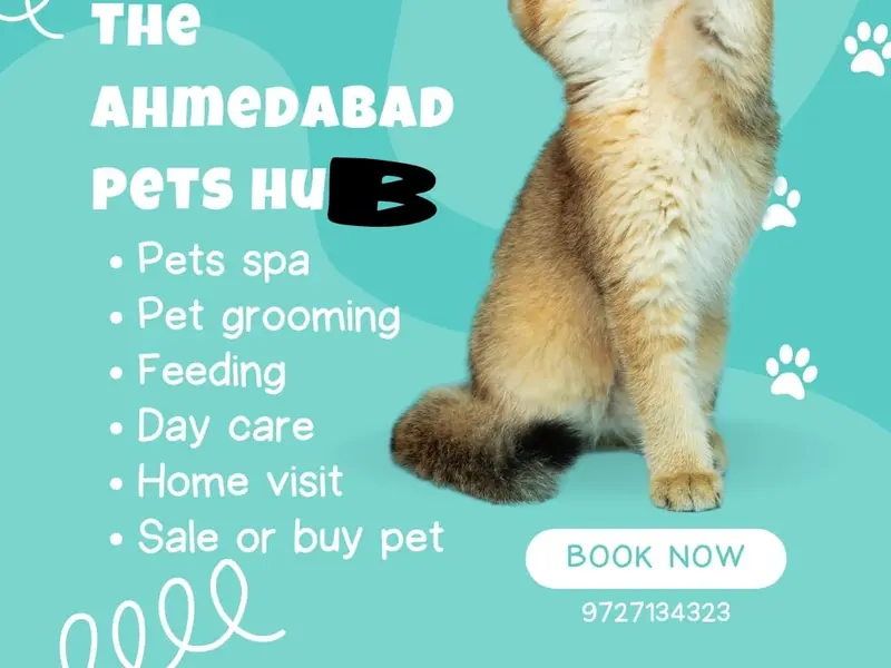 Ahmedabad pet hub, photo 3