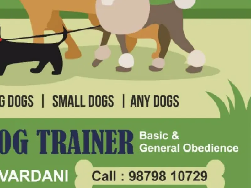 Adorable's Pet Services, photo 5