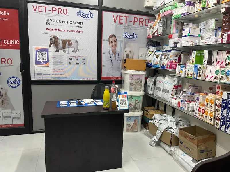 Dr. Nipun's Pet Clinic, photo 2