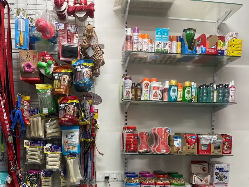 Dr. Nipun's Pet Clinic, photo 3