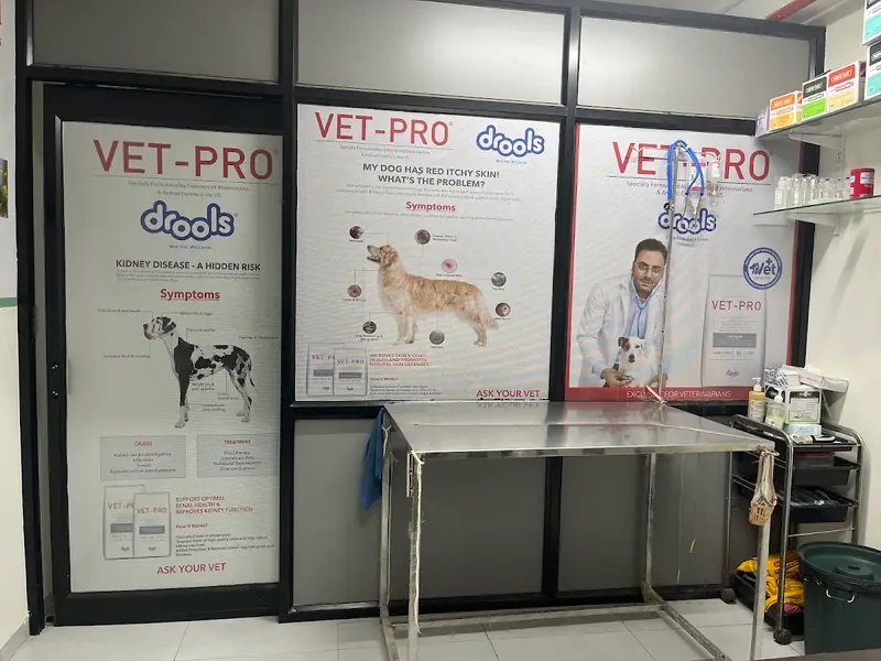 Dr. Nipun's Pet Clinic, photo 4