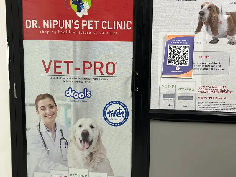 Dr. Nipun's Pet Clinic, photo 5