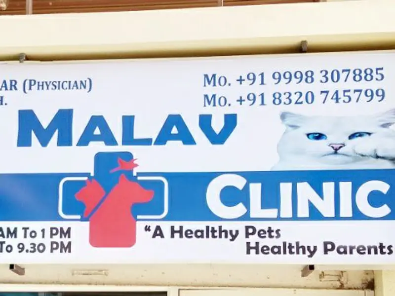 Malav Pet Clinic & Store, photo 4