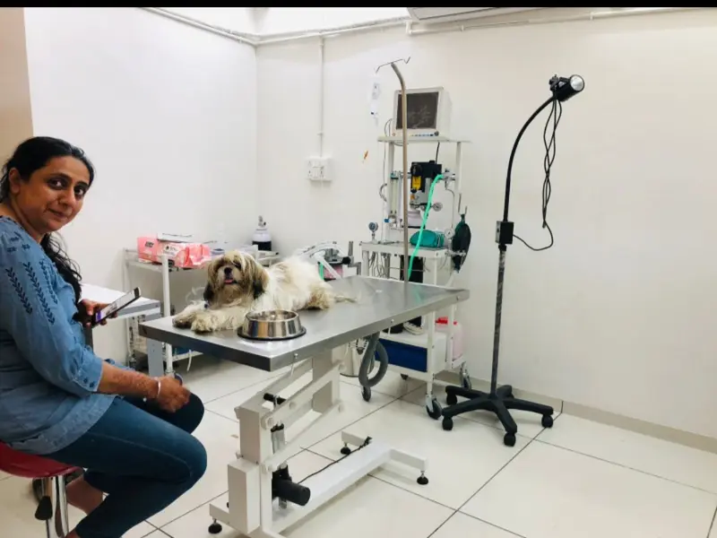 Om veterinary Hospital Ahmedabad, photo 2