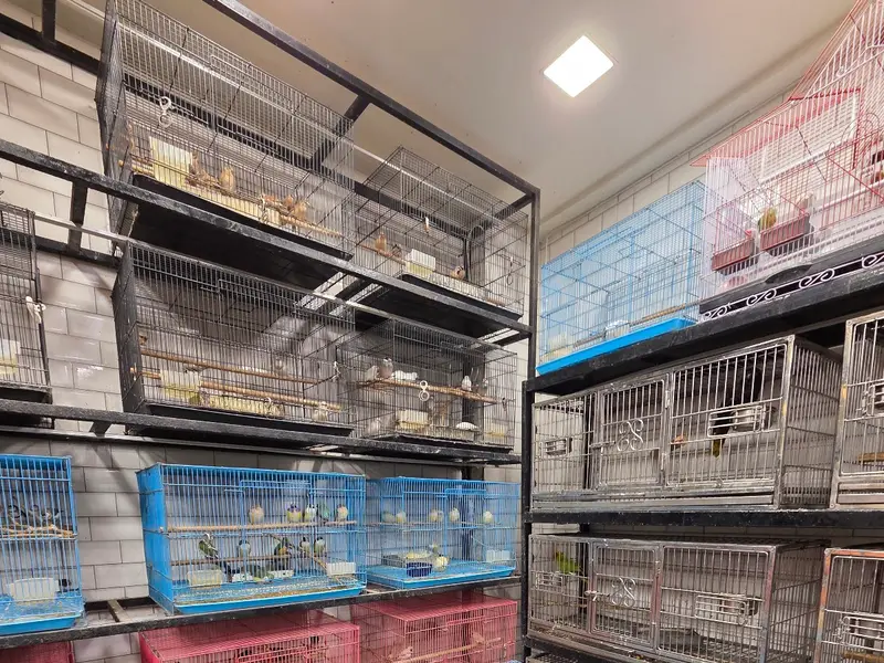 Al- sugra pet shop, photo 3
