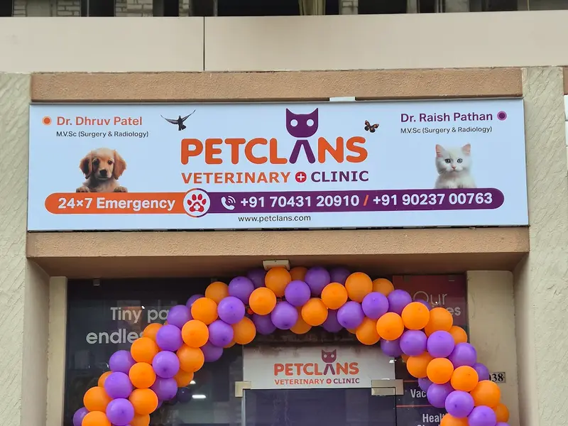 PetClans Veterinary Clinic, photo 4