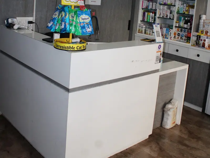 Pets & Paws Veterinary Hospital - Veterinary Doctor / Pet Shop / Veterinary Hospital in Ahmedabad, photo 2