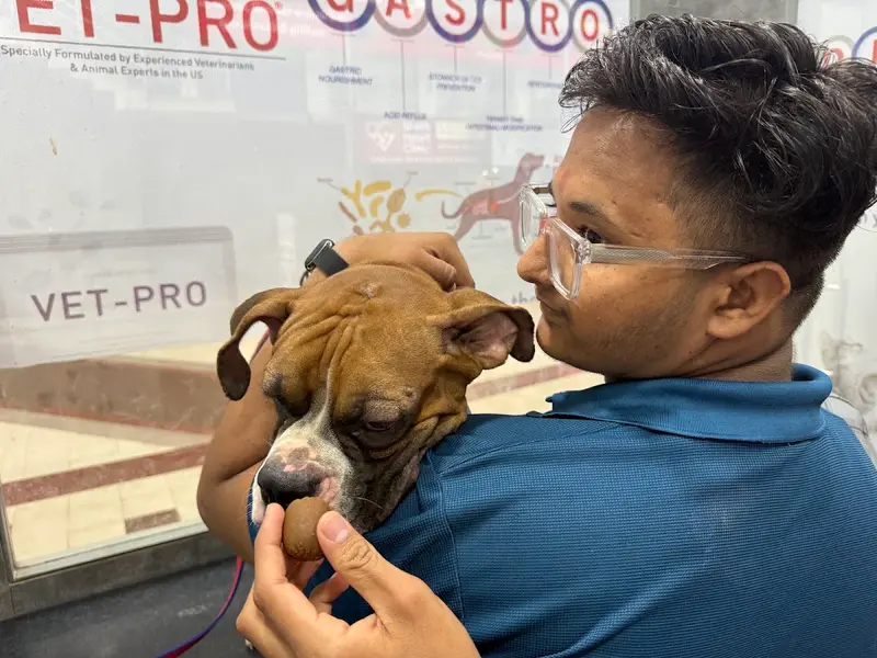 Pets & Paws Veterinary Hospital - Veterinary Doctor / Pet Shop / Veterinary Hospital in Ahmedabad, photo 3
