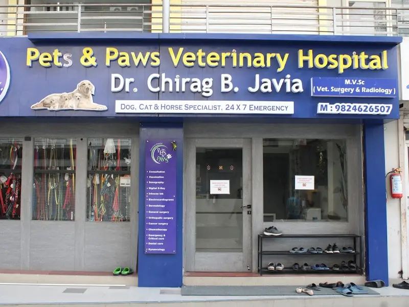 Pets & Paws Veterinary Hospital - Veterinary Doctor / Pet Shop / Veterinary Hospital in Ahmedabad, photo 5