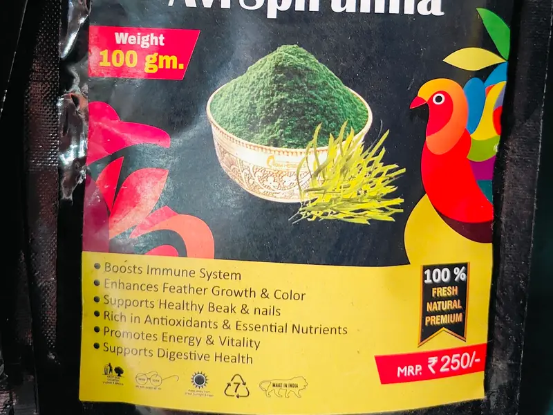 Birds and pet 🐶 food wholesale store🦜🕊️, photo 2