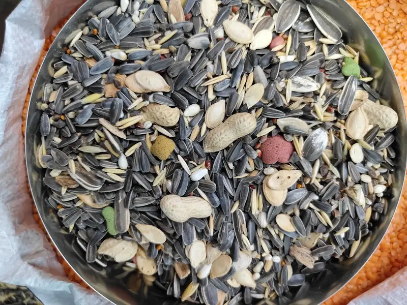 Birds and pet 🐶 food wholesale store🦜🕊️, photo 3