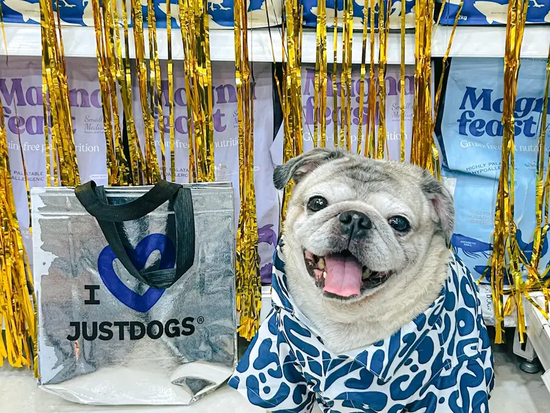 JUSTDOGS | Maninagar, Ahmedabad - Pet Store & Spa, photo 3