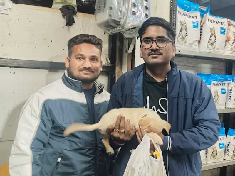 Neha Pet Mart & Dog Spa, photo 2