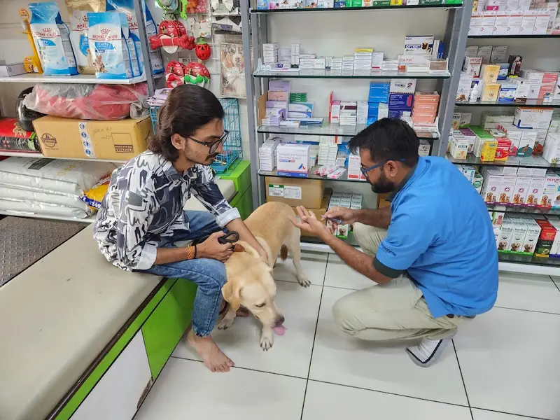 FUR N PAWS CLINIC, photo 5