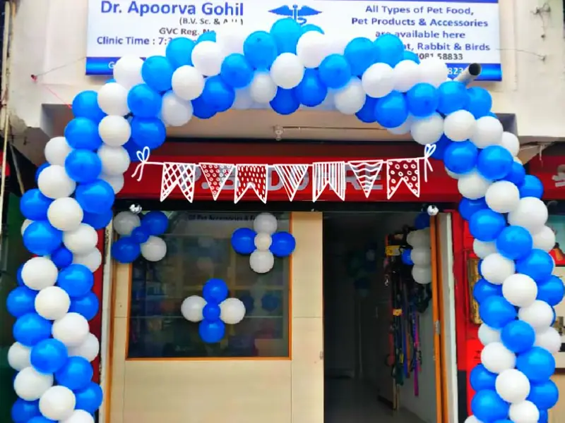SARMEY: PET CLINIC & PET SHOP, photo 2