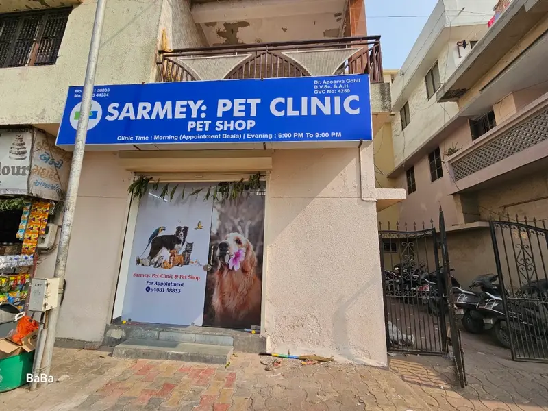 SARMEY: PET CLINIC & PET SHOP, photo 4