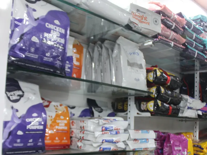 Vet 4 pets veterinary hospital || Best Pet Clinic | Dog And Cat Clinic | Pet Veterinary Hospital, photo 2