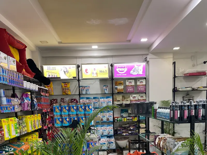 Pet Art pet shop Narol, photo 3