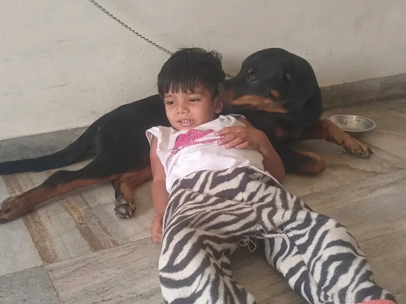 Shopie kennel || Dog trainer, photo 4