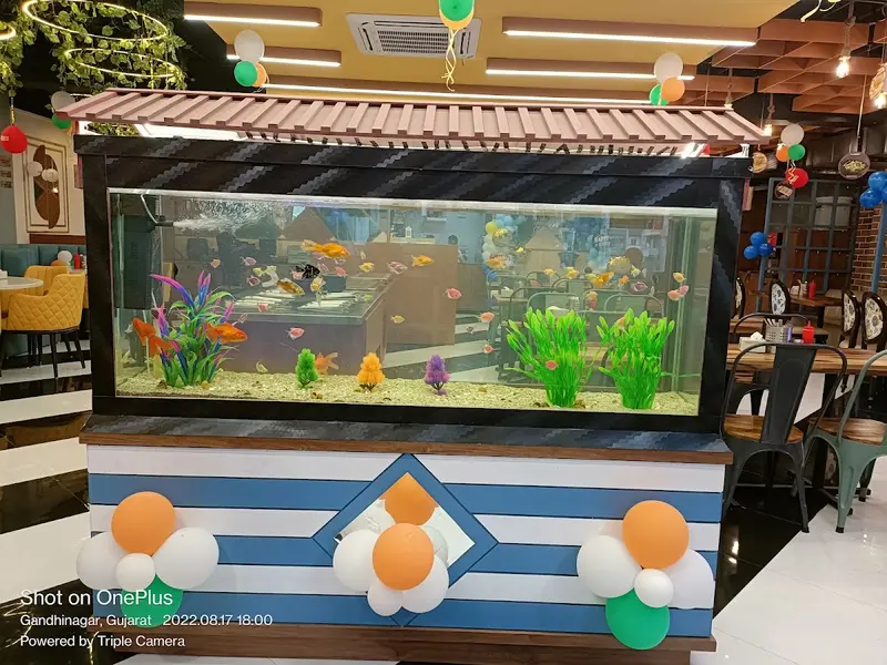 AQUA STUDIO the world of aquariums, photo 2