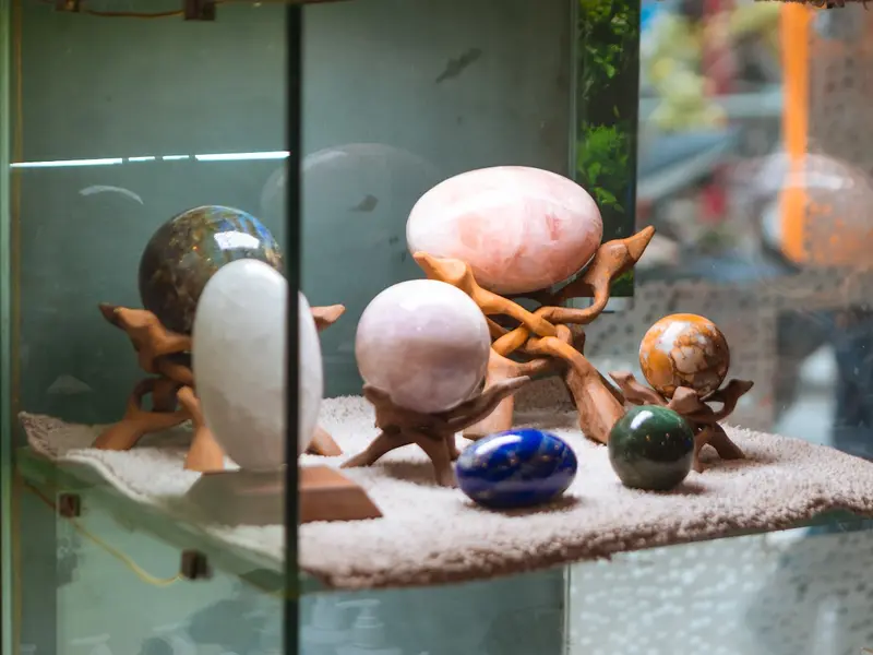 AQUA STUDIO the world of aquariums, photo 4
