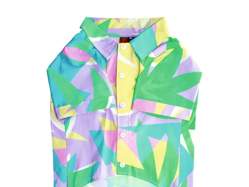 Clothing Zoo, photo 3
