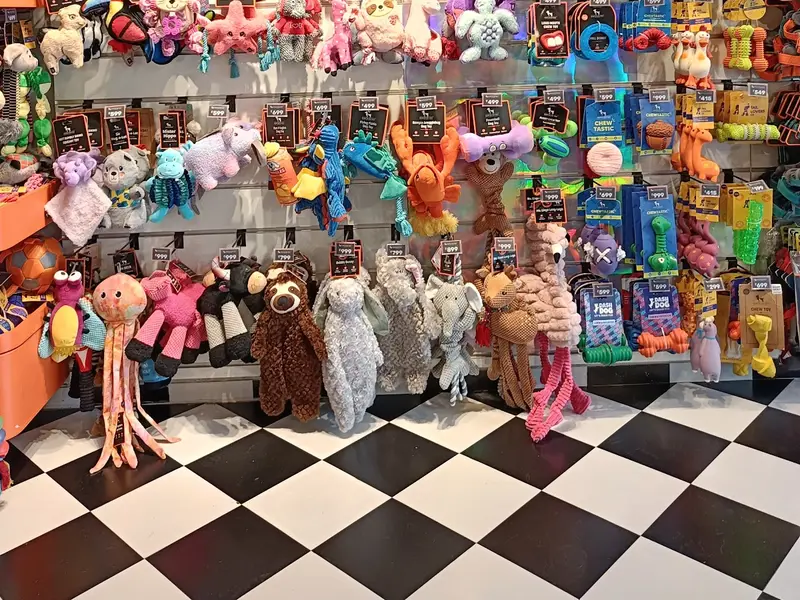 Heads Up For Tails Pet Store & Spa - 3rd Eye Three, Ahmedabad, photo 2