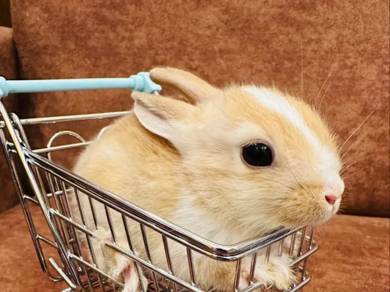 Reagan's Exotic Pets, photo 3