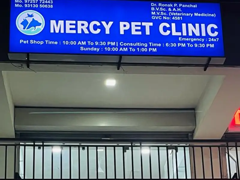 Mercy Pet Clinic, photo 2