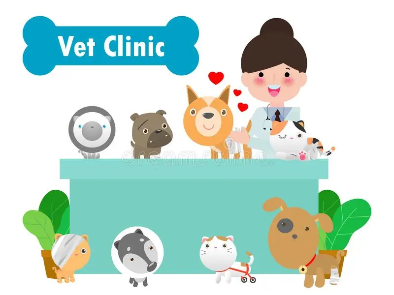 Palak Pet Clinic - Animal Clinic | Veterinary Hospital | Pet Surgery & Care | Trusted Dog Doctor in Ahmedabad, photo 5