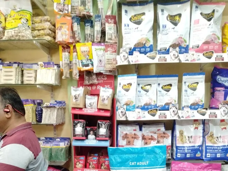 The city pet shop | Best pet Shop in Nikol | Best Pet trainer in Ahmedabad, photo 2